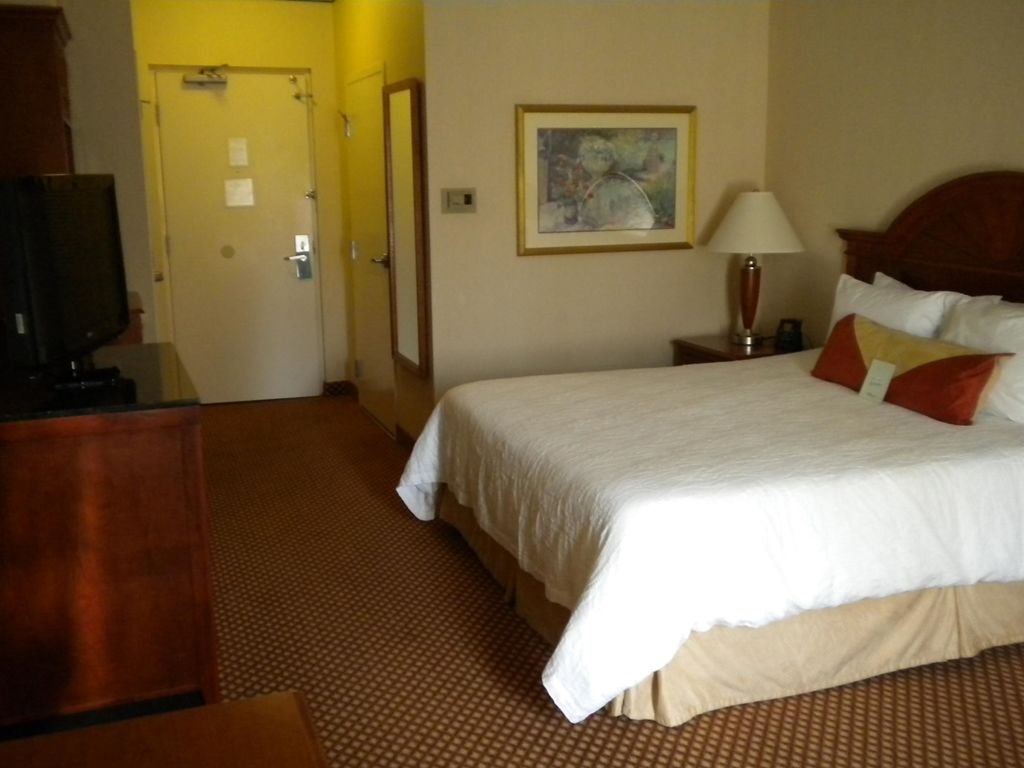 Hilton Garden Inn Philadelphia-Fort Washington Quarto foto